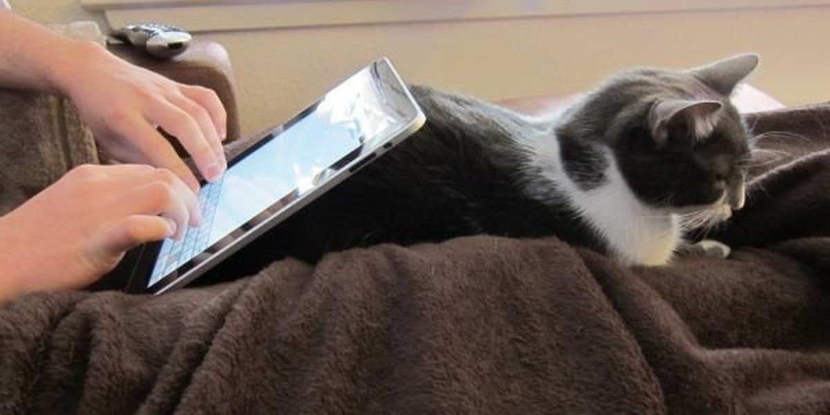 Spending calm, quiet time near your rescue cat