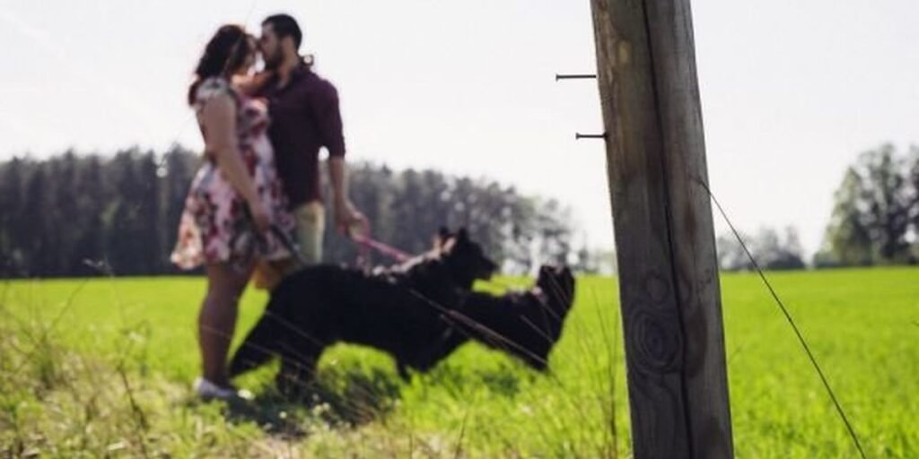A person enjoying a joyful moment with their dog